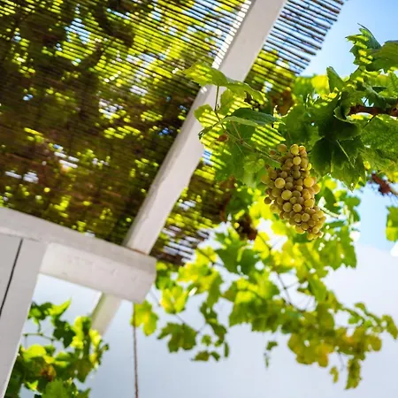 Dei Ciottoli * Rhodes City