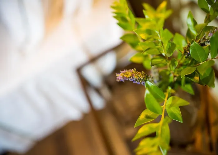 Dei Ciottoli ヴィラ *