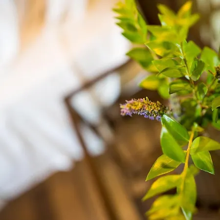 Dei Ciottoli Villa *