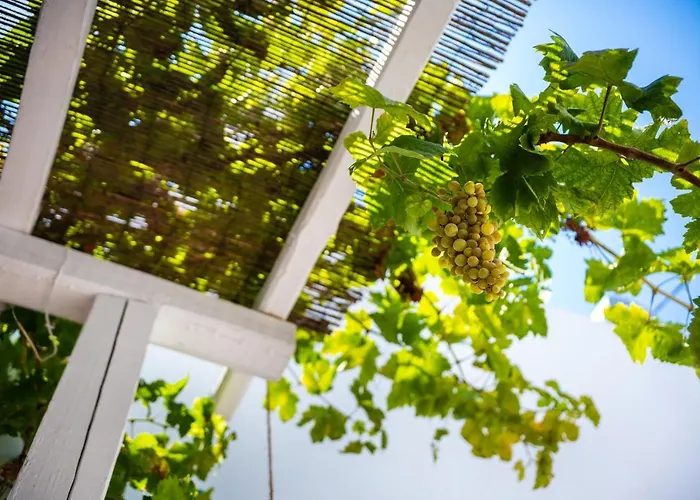 Dei Ciottoli * Rhodes City